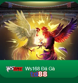 td88